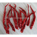Organic Dry red chilli